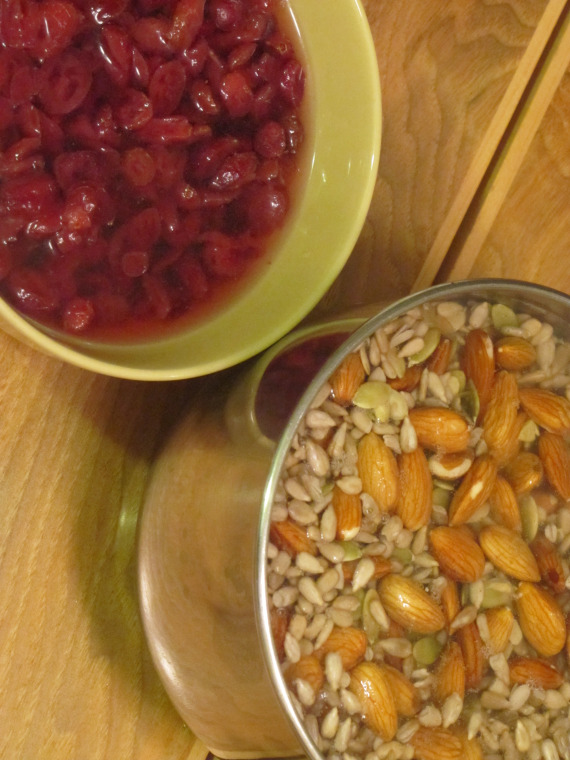 Seed Cereal Soaking