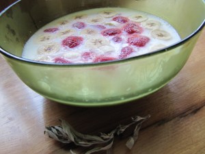 Breakfast Jello