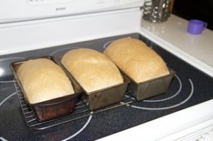 3loaves