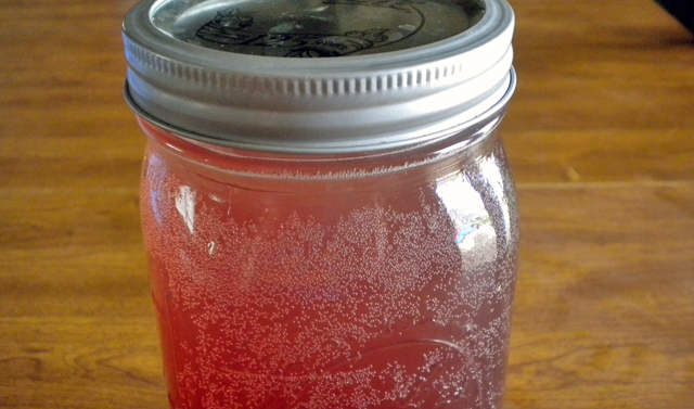 Kefir Juice