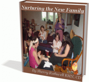 Nurturing the New Family Cover