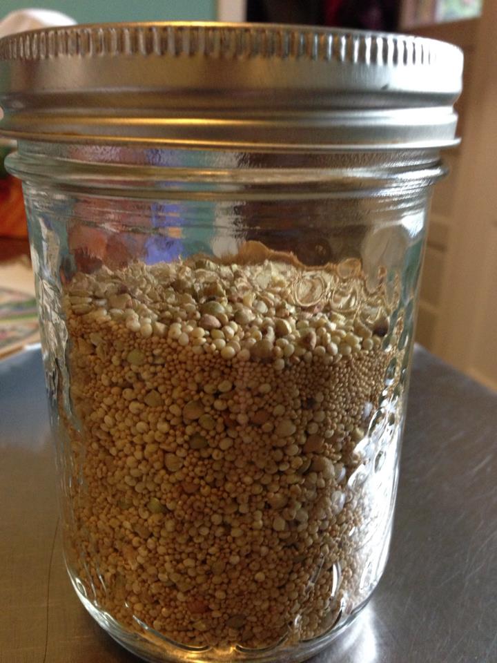 seed grains