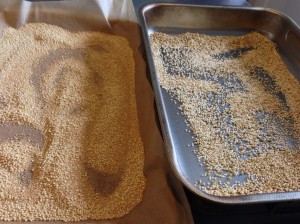 toasted seed grains